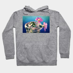 Because she loves me... Hoodie